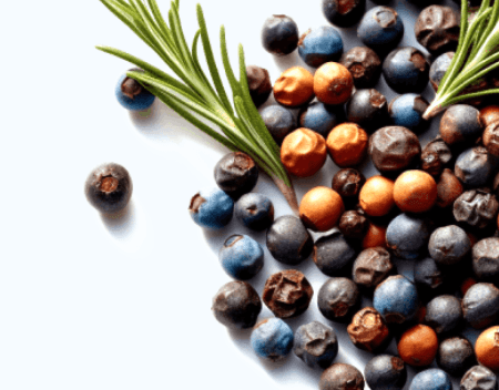 Glucotrust Natural Ingredient Juniper Berries