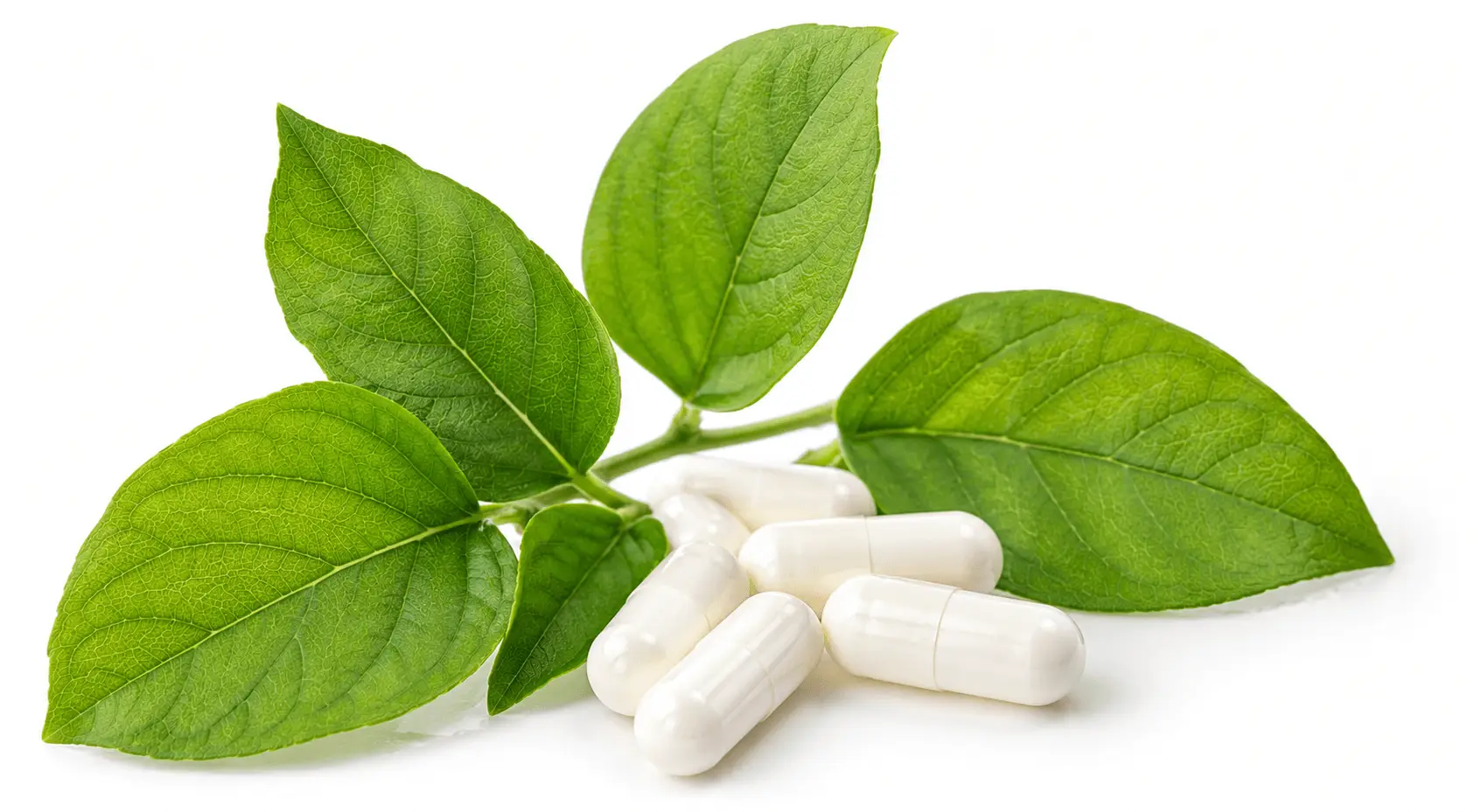 capsules of glucotrust